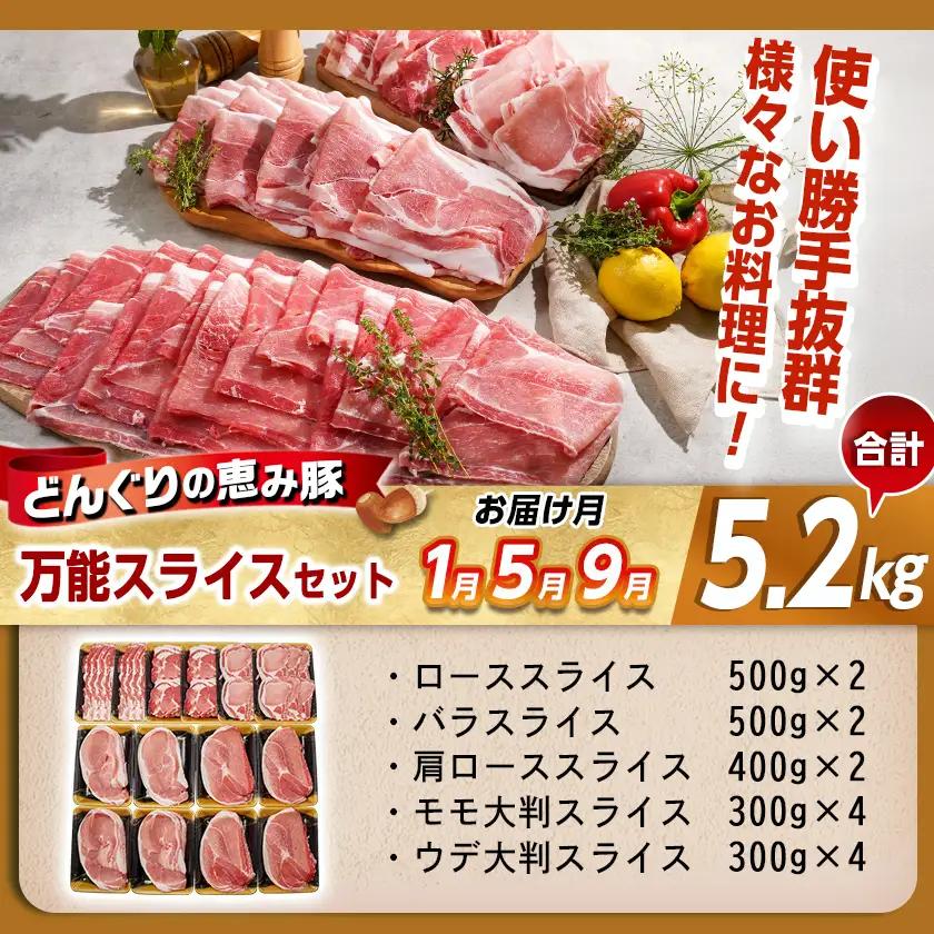 「どんぐりの恵み豚」お肉満載定期便(10ヶ月)〔T120(10)-1102〕_(都城市) 豚肉 ロースかつ 豚バラスライス 肩ローススライス こま切れ 切落し スペアリブ ロースしゃぶ バラしゃぶ 肩