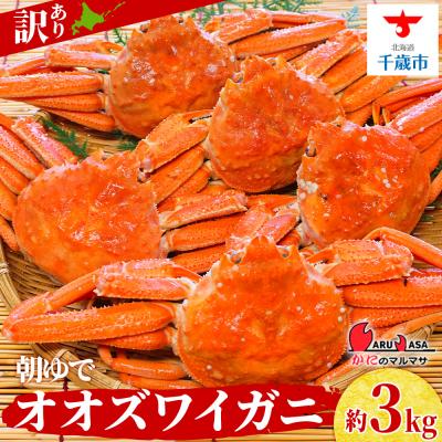 ふるさと納税 千歳市 北海道産【 朝ゆで 】訳ありオオズワイガニ 3.0kg詰 道産品 ズワイガニ ずわい蟹 不揃い