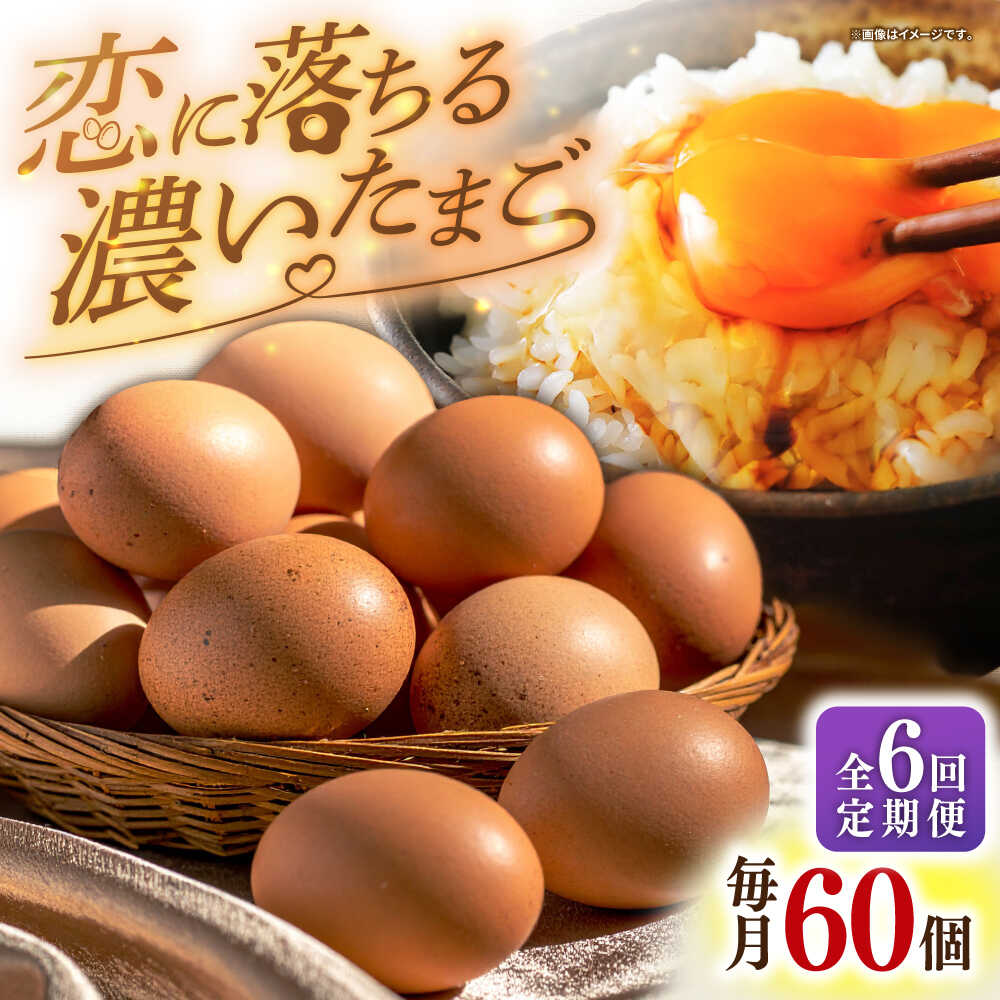 【全6回定期便】特選素直な恋たまご60個入りギフト [JAP004] たまご 60個 鶏卵 玉子 大容量 ギフト 国産 もみじ 卵かけご飯 たまごかけご飯 すき焼き 目玉焼き 54000 54000円
