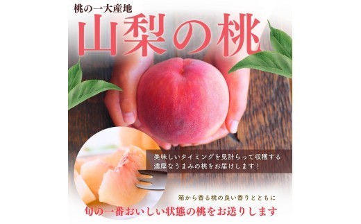 何といっても一番の特徴はシャキッ！カリッ！とした何とも言えない硬い歯ごたえです。※画像はイメージです。