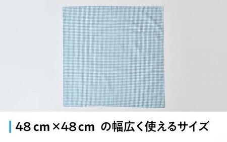 【ギフト対応・ラッピング済】 【播州織】 メンズ用ハンカチ2枚セット A／ CHECK&STRIPE おしゃれ 綿素材 日本製 ハンカチ ギフトセット オリジナル 男性向け 雑貨 プレゼント