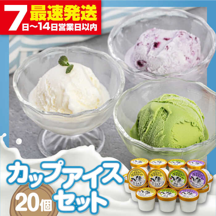 【ふるさと納税】ミルク工房 カップアイスセット 20個 《喜茂別町》【ニセコリゾート観光協会】 アイス アイスクリーム ジェラート スイーツ ミルク 抹茶 ブルーベリー ギフト セット カップアイス 濃厚 詰め合わせ 冷凍 北海道 送料無料 [AJAI012] 20000 20000円 2万円