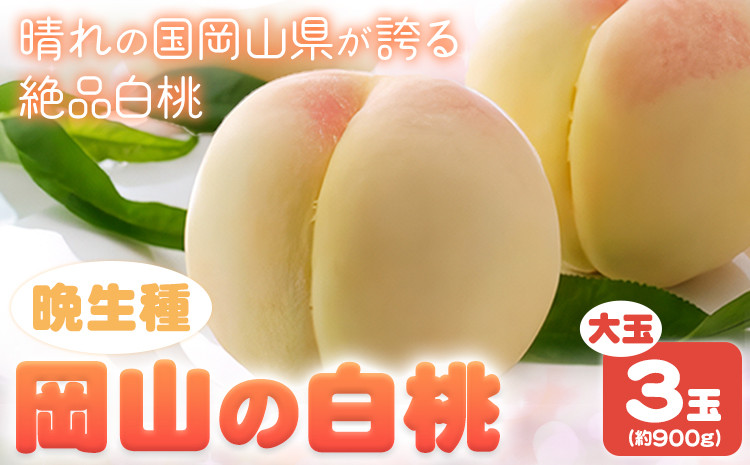 
             【令和7年度先行予約】 岡山の白桃 晩生種 大玉3玉 約900g 晴れの国 おかやま館(つむぐ株式会社) 《2025年7月下旬-9月中旬頃出荷》岡山県 浅口市 フルーツ モモ 果物 青果 旬【配送不可地域あり】（離島）
          
