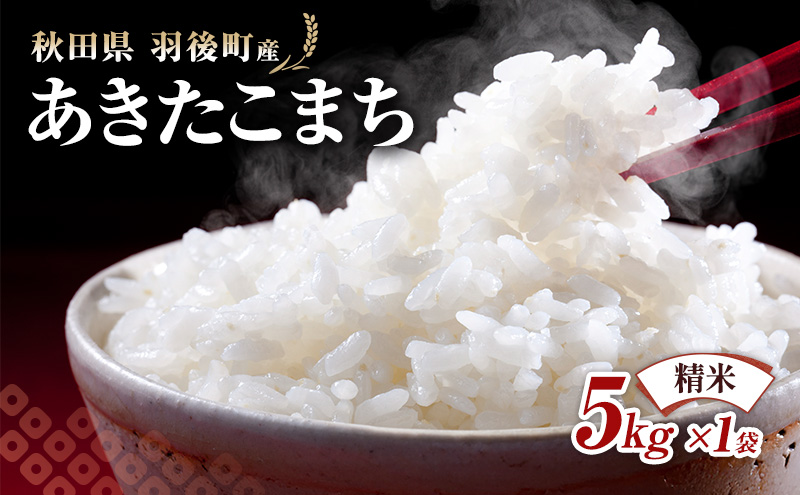 秋田県 羽後町産 あきたこまち 精米 5kg×1袋【 米 お米 白米 精米 アキタコマチ 美味しい 秋田 羽後 】
