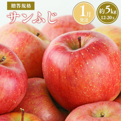 ≪令和8年産先行受付≫令和9年1月発送! 贈答規格サンふじ約5kg【青森県平川市産・青森りんご】【青森県 平川市 山内ファーム】 平川市産 青森りんご りんご リンゴ 林檎 ふじ 贈答 贈答品 お取り寄せ 先行予約 果物 くだもの フルーツ