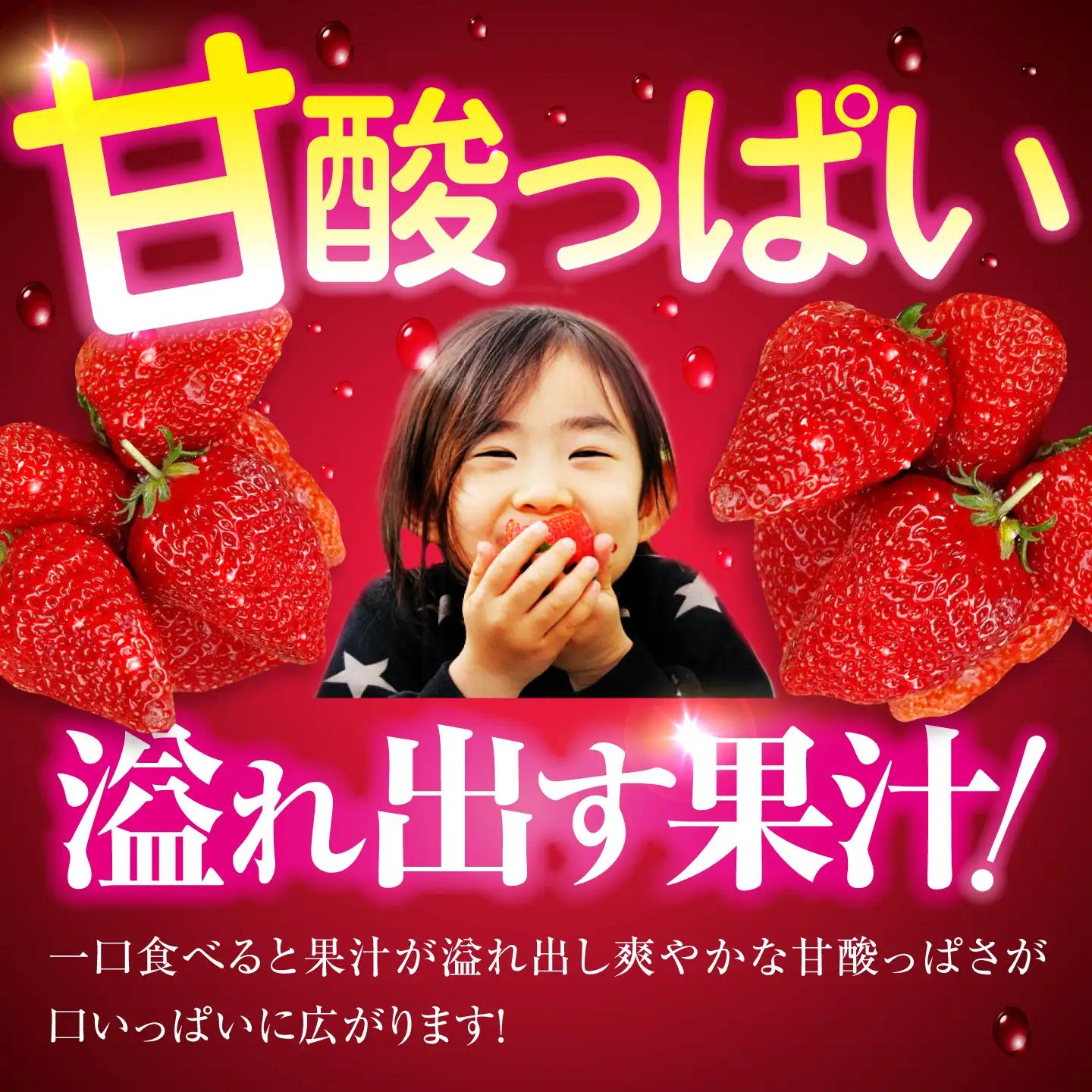 いちご いちご 12粒（1箱）[AGAR026]