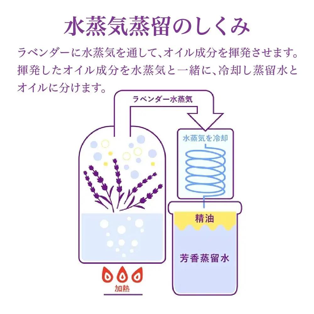 【ペリカン石鹸】ピーズルーツ ラベンダーハンドソープ 1本　【11218-0821】