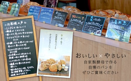 ピザ 生地 5枚 天然酵母 自家製酵母 冷凍 ピザ