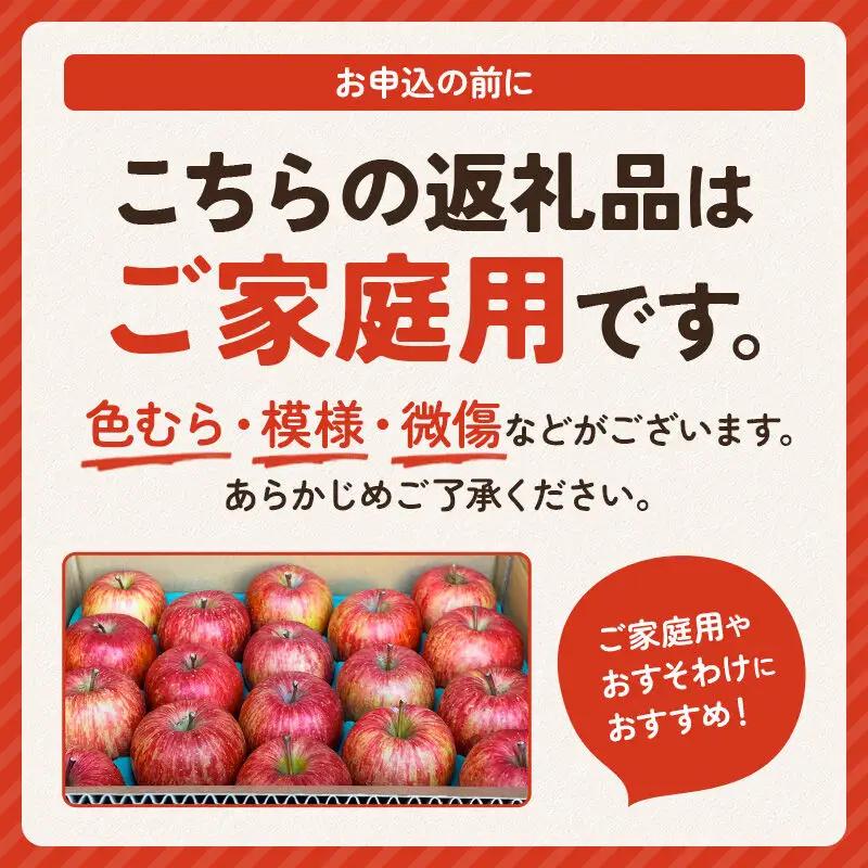 【先行受付】12月上旬より発送 樹上完熟サンふじ ご家庭用 約5kg（13～23玉前後）