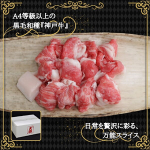 【ふるさと納税】【肉の天園】神戸牛 切り落とし 700g SI06