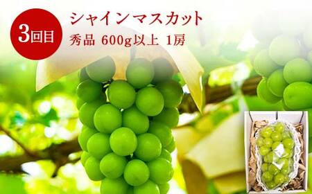 ≪数量限定 期間限定≫2025年先行予約【山形代表フルーツ定期便】 3回定期便 FSY-1199