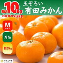 【ふるさと納税】みかん Mサイズ 秀品 箱込 10kg (内容量約 9.2kg) 有田みかん 和歌山県産 産地直送 贈答用 【みかんの会】 | フルーツ 果物 くだもの 食品 人気 おすすめ 送料無料