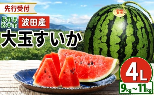 【先行受付：2026年発送】松本市 波田産 大玉すいか 4L（9kg～11kg)│ 信州 松本市 長野県 西瓜 すいか 果物 大玉 スイカ フルーツ くだもの 新鮮 果汁 ジューシー 大きい ふるーつ