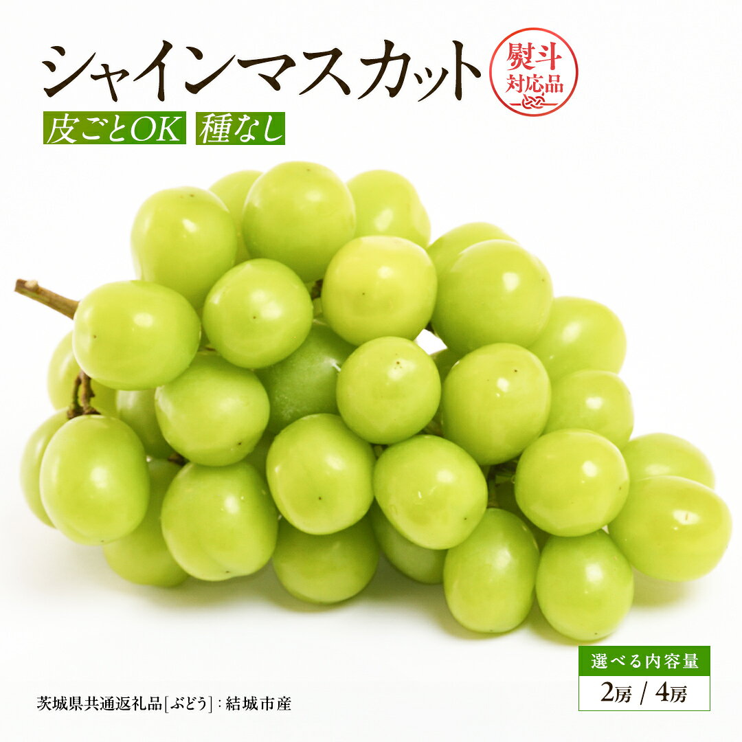 【ふるさと納税】＼ 選べる房数・熨斗対応 ／ シャインマスカット 2房 or 4房 【2026年7月から発送開始】 （茨城県共通返礼品 [ぶどう]：結城市産） 田舎の頑固おやじが厳選！ マスカット 種なし 高糖度 ギフト お中元 甘い 美味しい フルーツ ぶどう 果物