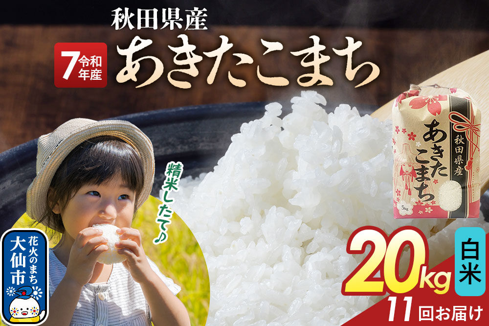 《定期便11ヶ月》【白米】あきたこまち 20kg（5kg×4） 秋田県産 令和7年産  こまちライン 秋田県 大仙市産 [秋田 お米 米どころ あきたこまち こまちライン]