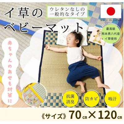 ふるさと納税 柳川市 赤ちゃん・子供用の寝ござ(ブルー)