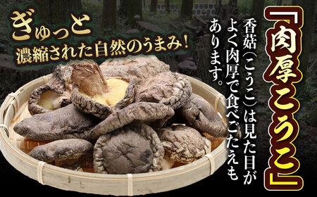 しいたけ 原木乾しいたけ（香こ)150g  しいたけ[AGBK001]