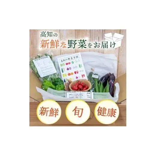 【 野菜 】 野菜セット 6～8品