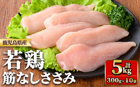鹿児島県産若鶏筋なしささみ(計5kg・250g×20袋) 国産 九州産 鹿児島県産 鶏肉 鳥肉 鶏 とり 若鶏 冷凍 ささみ ササミ 筋なし 小分け 真空 【TRINITY】_y534