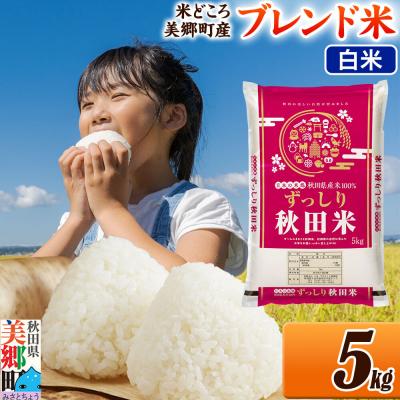 ふるさと納税 美郷町 ブレンド米【白米】精米 5kg(5kg×1袋)|01_ssn-010501h
