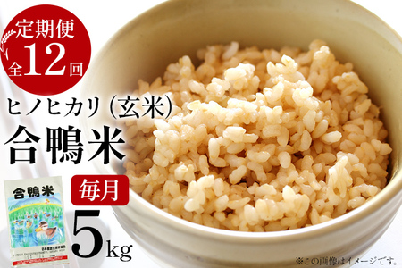 令和7年産 予約 合鴨米「ヒノヒカリ」（玄米・5ｋｇ）定期便12回コース※2025年10月中旬より順次出荷予定　BI06　