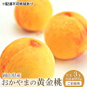 【ふるさと納税】桃 2025年 先行予約 ご家庭用 おかやま の 黄金桃 大玉 3玉（合計約900g） もも モモ 岡山県産 国産 フルーツ 果物　 果物 デザート スイーツ フルーツ 大玉 果肉 美味しい 甘い 柔らかい フルーティー 　お届け：2025年8月下旬～2025年9月中旬