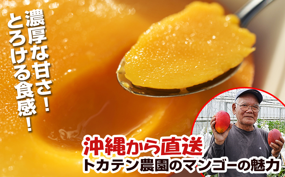 【2024年発送】濃厚な甘さ！とろける食感！沖縄県産マンゴー2kg