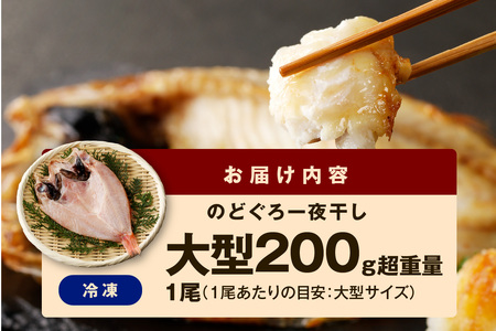 のどぐろ一夜干し無添加個包装１枚「希少サイズ・大型２００ｇ超重量」 産地直送 干物 魚 一夜干し 人気 大きい 天然 ボリューム ノドグロ 【1927】