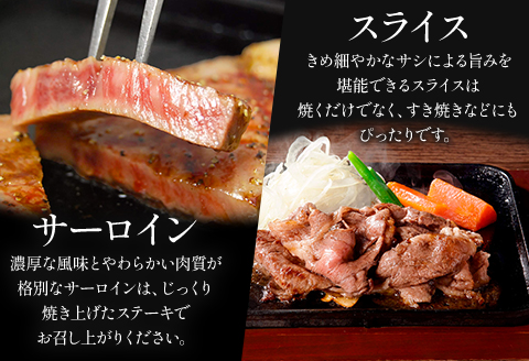 宮崎牛 サーロイン ステーキ スライス セット 計850g 平家の郷 詰め合わせセットB |牛肉 牛 肉 サーロイン ステーキ スライス すき焼き しゃぶしゃぶ