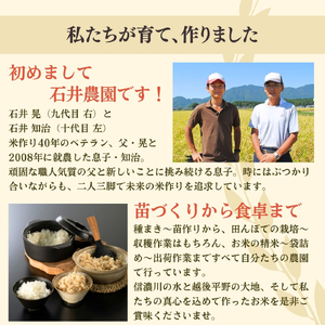 コシヒカリ 5kg 食べ比べセット＜白米5kg･玄米5キロ＞ 令和7年産 | コシヒカリ 新潟県 弥彦村 石井農園