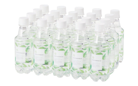 ナチュラルミネラルウォーター岩深水炭酸水300mlペットボトル [BT002] / 天然水