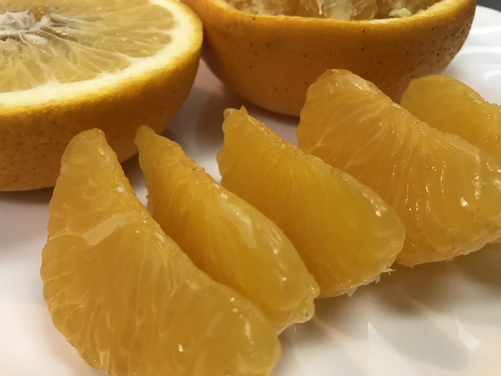 木成完熟 紅はっさく 特秀 大玉 3L × 6玉入 化粧箱 南泰園【2026年4月上旬～発送】