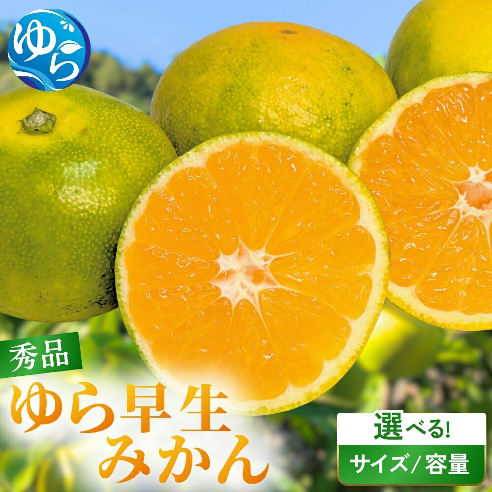 【ふるさと納税】 みかん ゆら早生 秀品 / 贈答用 極早生 早生 和歌山 柑橘 由良町 岸本農園 5kg 10kg （サイズ選べる）※2025年10月頃に順次発送予定