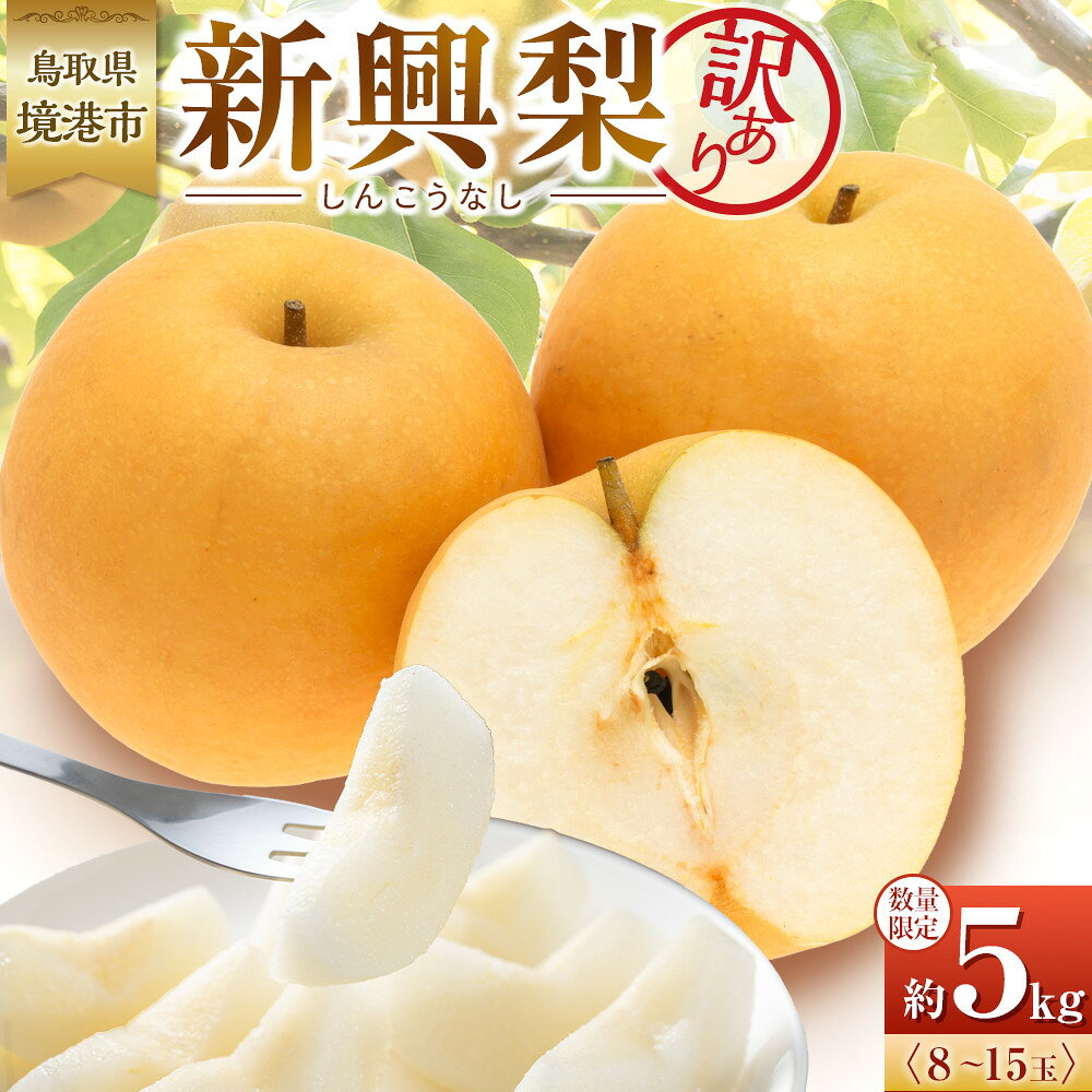 【ふるさと納税】【先行予約】訳あり 数量限定 鳥取県産 新興梨（しんこうなし） 約5kg （8～15玉）≪2026年10月中旬頃出荷≫ 【鳥取県 境港市】 | フルーツ 果物 くだもの 食品