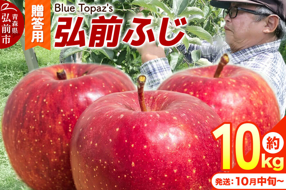 【26年10月中旬～発送】りんご 弘前ふじ【贈答用】約10kg 内のし付き 青森県 弘前市 [先行予約 アップル おいしい ふじ りんご 果実 果物 赤色 津軽 糖度 美味 林檎]