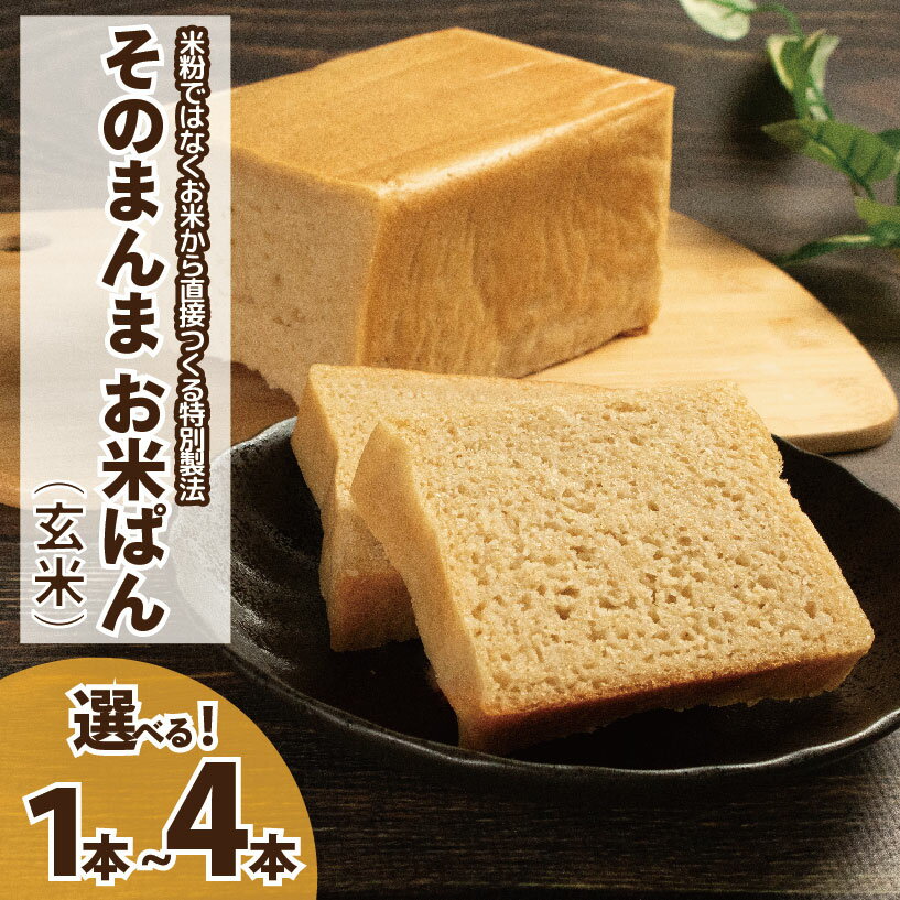 【ふるさと納税】 パン 食パン そのまんまお米ぱん 選べる 個数 1本 2本 3本 4本 コシヒカリ 米 玄米 使用 小麦 乳製品 卵 グルテン 不使用 タンパク質 低カロリー 健康志向 手作り 天然酵母 カフェ 朝食 お取り寄せ グルメ 冷凍 送料無料 徳島県 阿波市 株式会社EYELiD