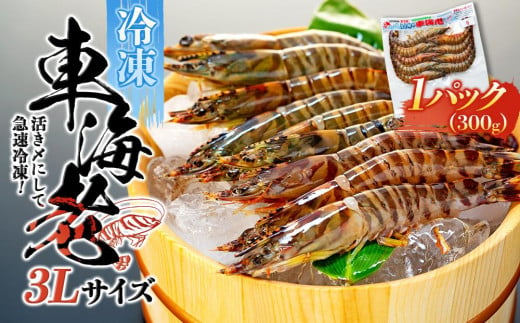 
活き〆冷凍 車海老 3Lサイズ 300g 鹿児島県産 (養殖)
