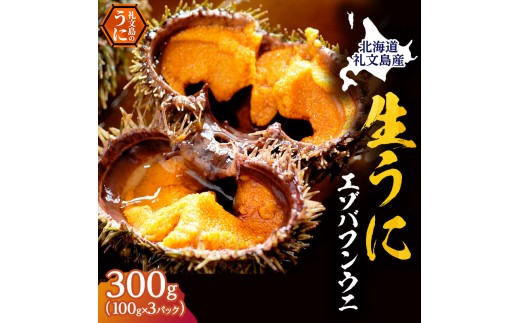 
                  北海道 礼文島産 採れたて ミョウバン不使用 エゾバフンウニ 塩水パック 300g(100g×3個)［株式会社やまじょう］【 うに ウニ 雲丹 生うに 塩水うに バフンウニ 滅菌海水 海鮮 うに丼 濃厚 甘み 】
                