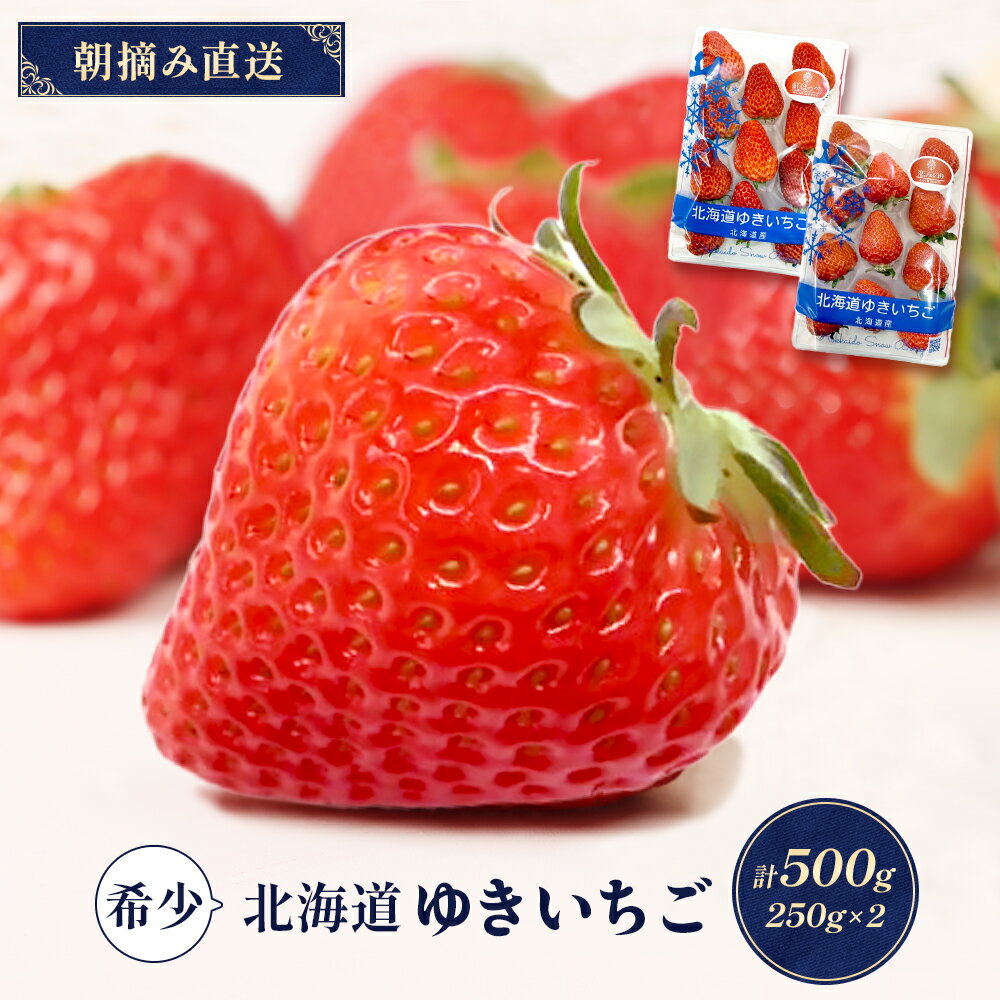 【ふるさと納税】【受注後、随時発送！】【北海道産】ゆきいちご（すずor恋みのり） 2Pセット 各250g×2 計500g【5900501】