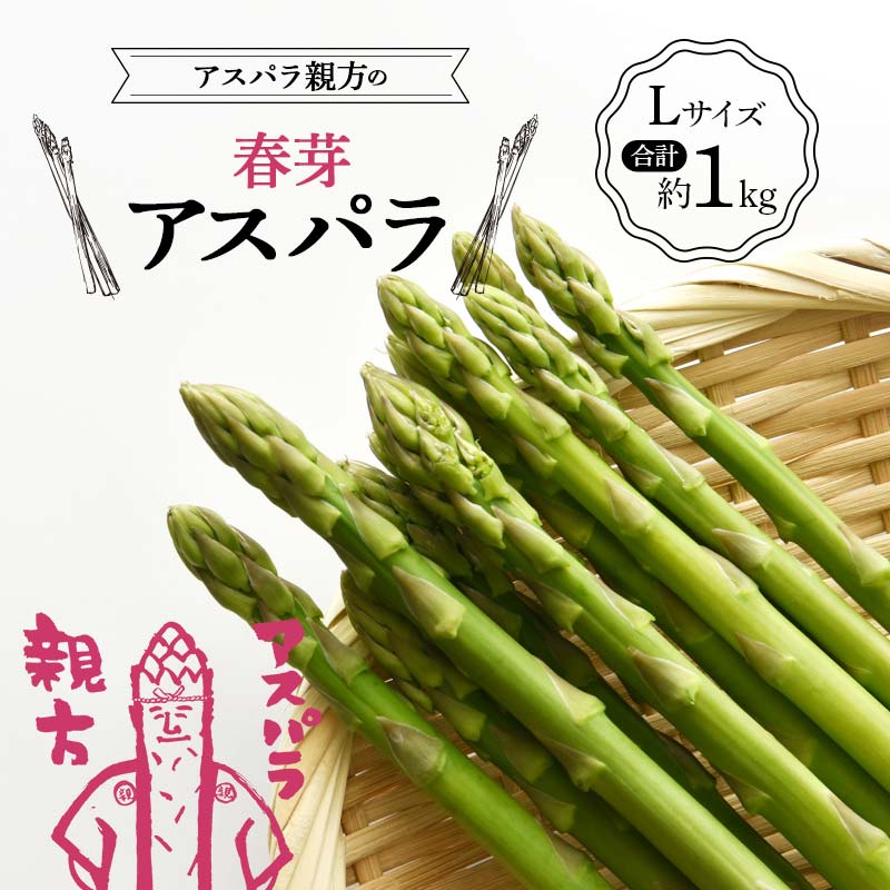 【ふるさと納税】《先行予約》アスパラ親方の春芽アスパラ Lサイズ 合計約1kg F23R-614