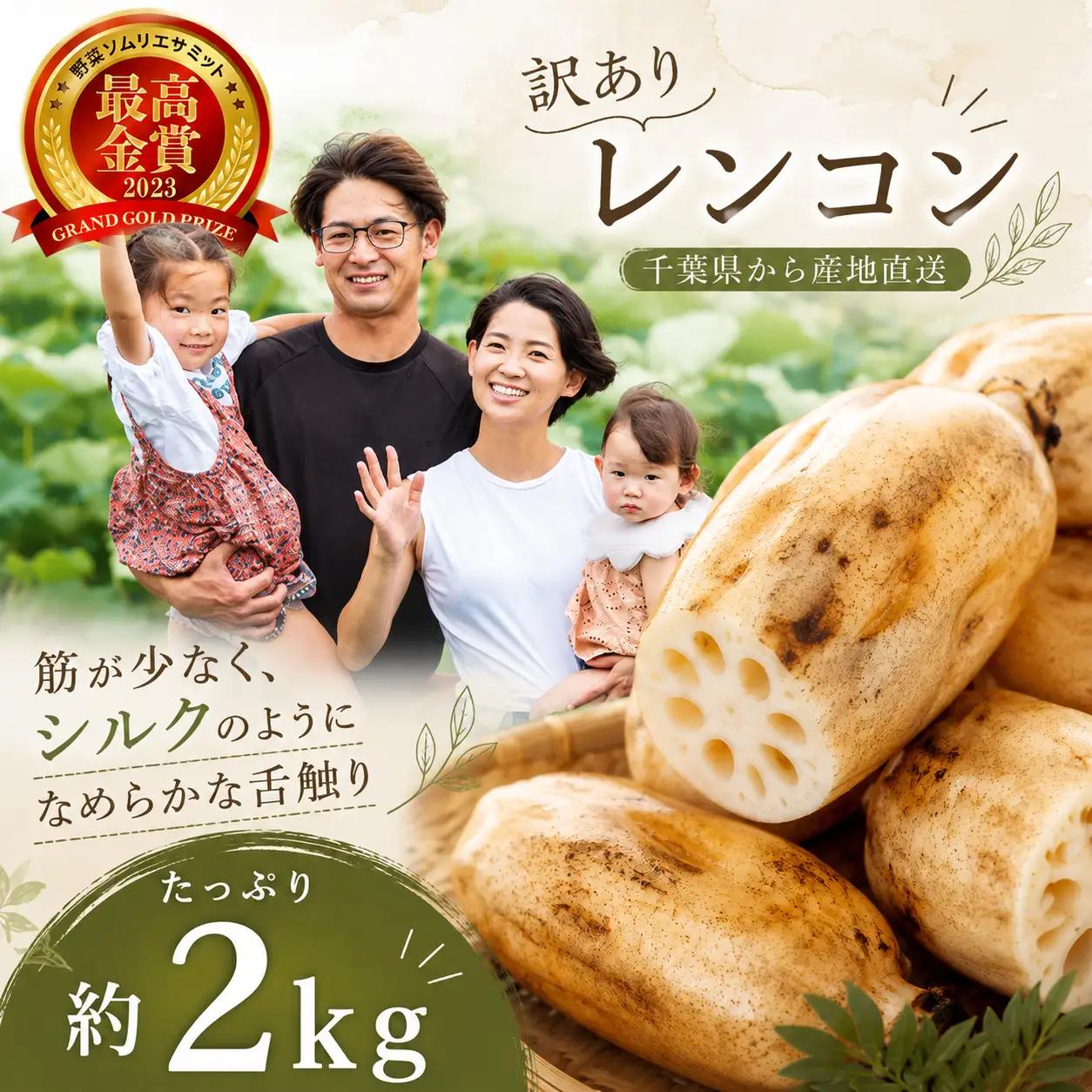 レンコン 2kg 訳あり 最高金賞 受賞 蓮根 れんこん MTB001