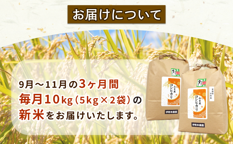 新米 定期便 3回 計30kg 先行予約 特別栽培米 三間米 コシヒカリ 10kg × 3回 伊勢本農園 特別栽培 米 お米 おこめ ごはん こめ コメ ※ kome 白米 精米 お弁当 ブランド米 