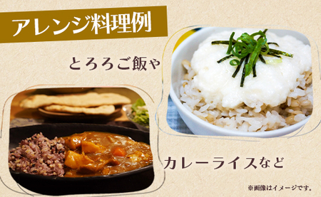 もち麦（ダイシモチ） 合計2.7kg - 香南市産 食物繊維 ミネラル 豊富 のし もち麦 国産 特産品 yr-0020