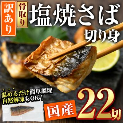 ふるさと納税 佐伯市 &lt; 訳あり &gt; 塩焼きサバ 切り身(計22切・2切入り×11袋) 【DL24】【鶴見食賓館】
