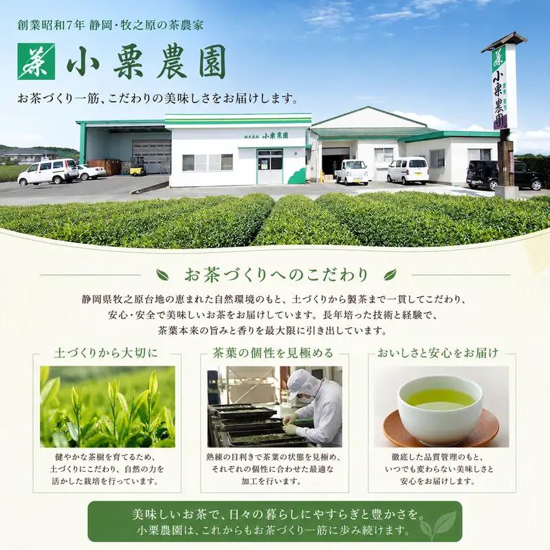 【お茶 2袋】 煎茶ティーバッグ 5ｇ×50ヶ 2袋 HOT&ICE   静岡 牧之原市 小栗農園