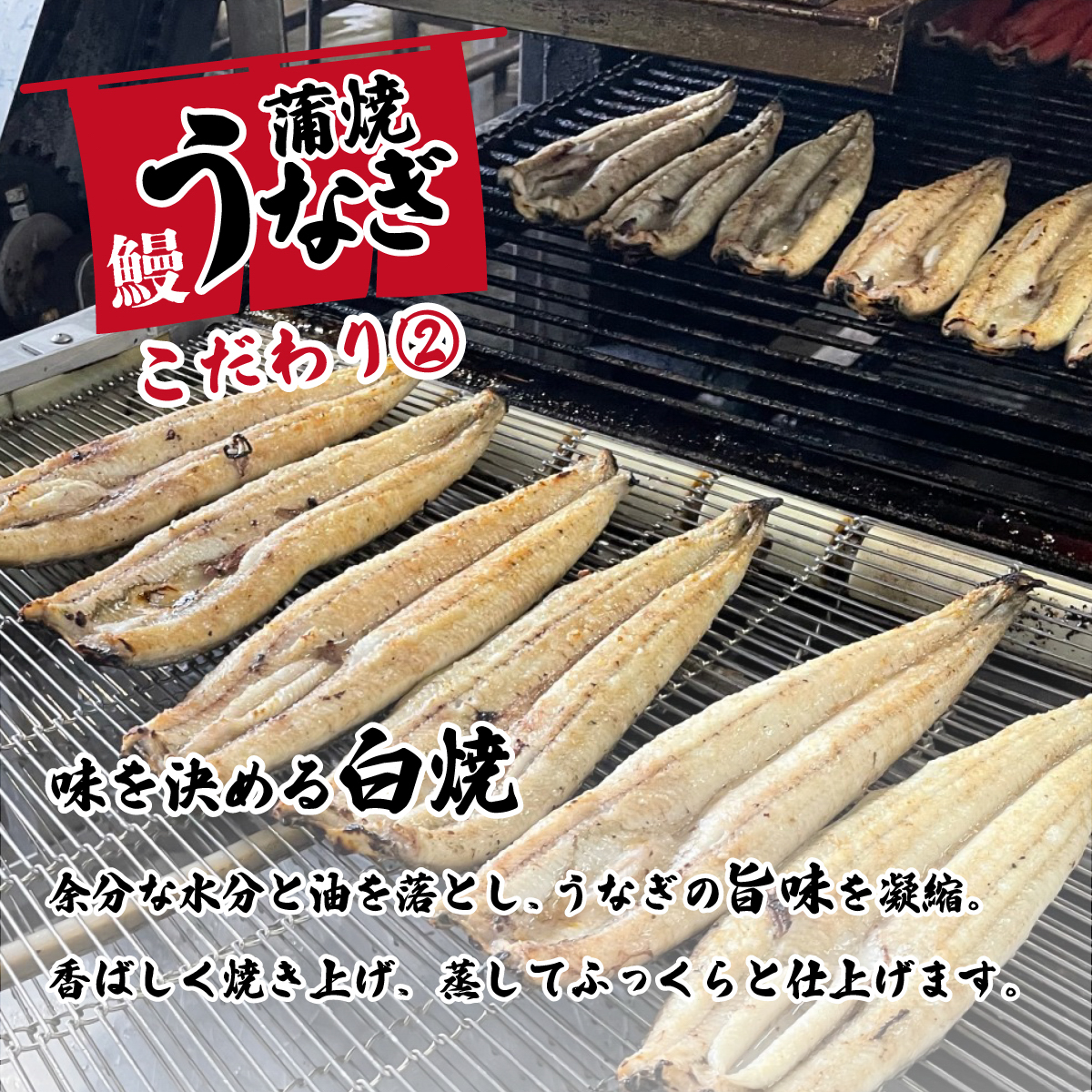 【お中元】【化粧箱】特上 国産うなぎ 蒲焼 2尾セット 【合計550g以上】 タレ・山椒付 ウナギ 鰻 うな重 ひつまぶし 人気 茨城 八千代町 ふるさと納税 冷凍 ギフト 化粧箱 お中元 中元 熨斗