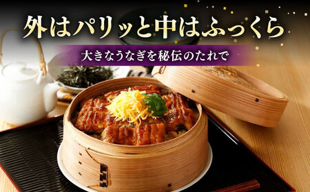 福岡県産 うなぎ 蒲焼 大5尾　合計 800 g（1尾あたり 160g以上）《豊前市》【福岡養鰻】 国産 うなぎ 大[VAD004] うなぎ 鰻 鰻の蒲焼 ギフト鰻 国産鰻 うなぎ 鰻 鰻の蒲焼 ギフ