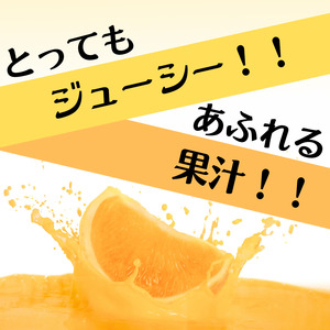 【先行予約】秀優品  清見オレンジ  3kg 【S～３Lサイズ混合】【2025年3月中旬から4月中旬頃に順次発送】/ みかん 清見 和歌山 フルーツ 有田 果物 オレンジ 甘い ジューシー【agy01