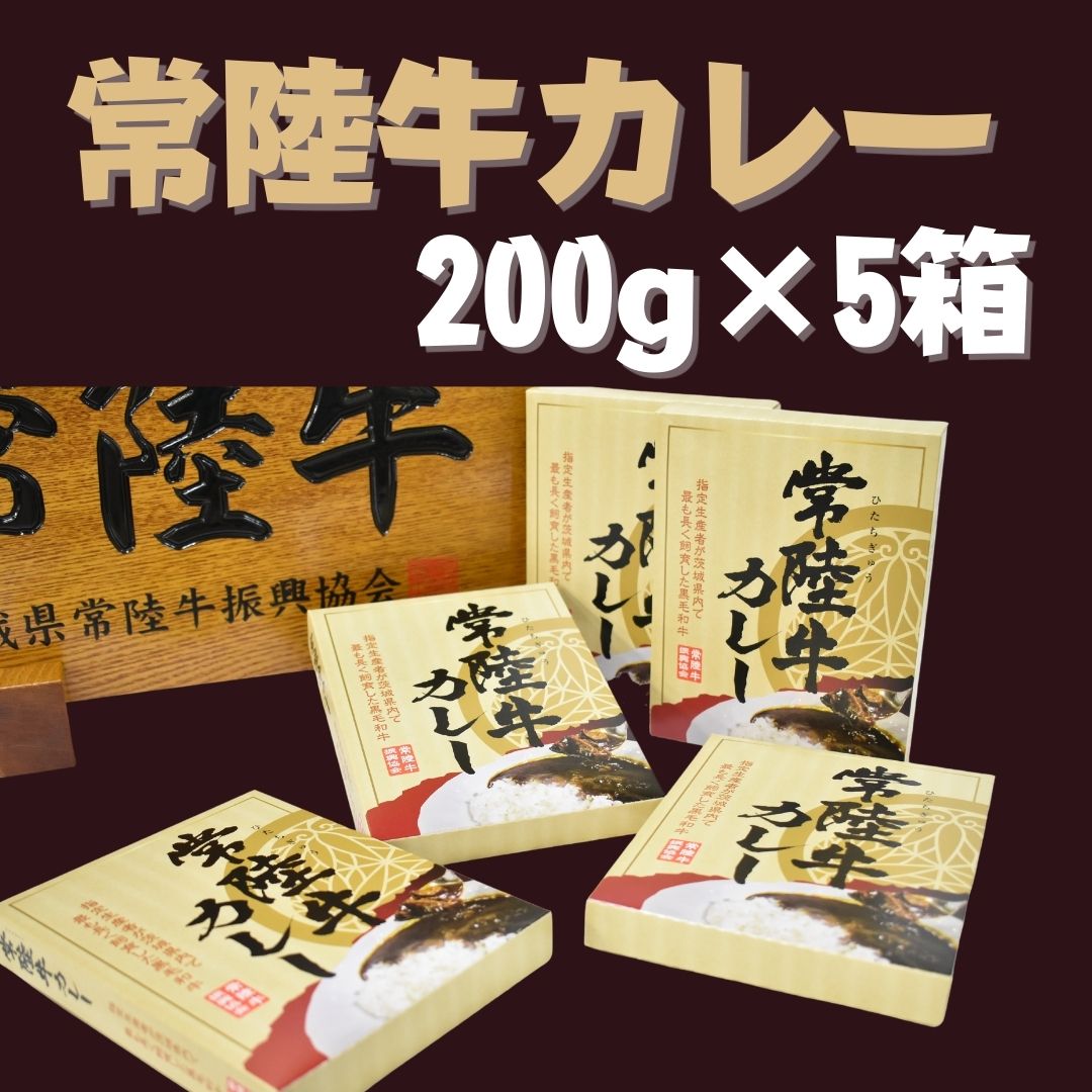 DH-13 【常陸牛】レトルトカレー（200g×5箱）