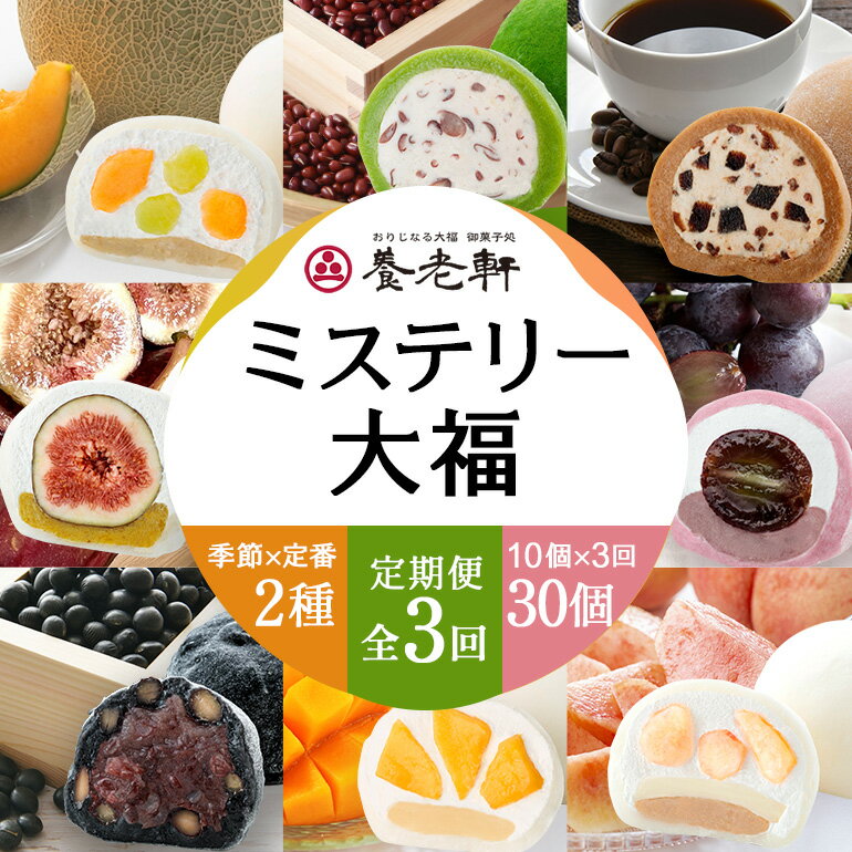 【ふるさと納税】【期間限定・定期便（全3回）】養老軒のミステリー大福 10個入（2種類×5個）×3回│お楽しみ 人気 旬 フルーツ スイーツ 大福 和スイーツ おやつ お菓子 和菓子 定期便 養老軒 お取り寄せ フルーツ大福 季節 果物 詰合せ セット 岐阜県 川辺町 (999-2)